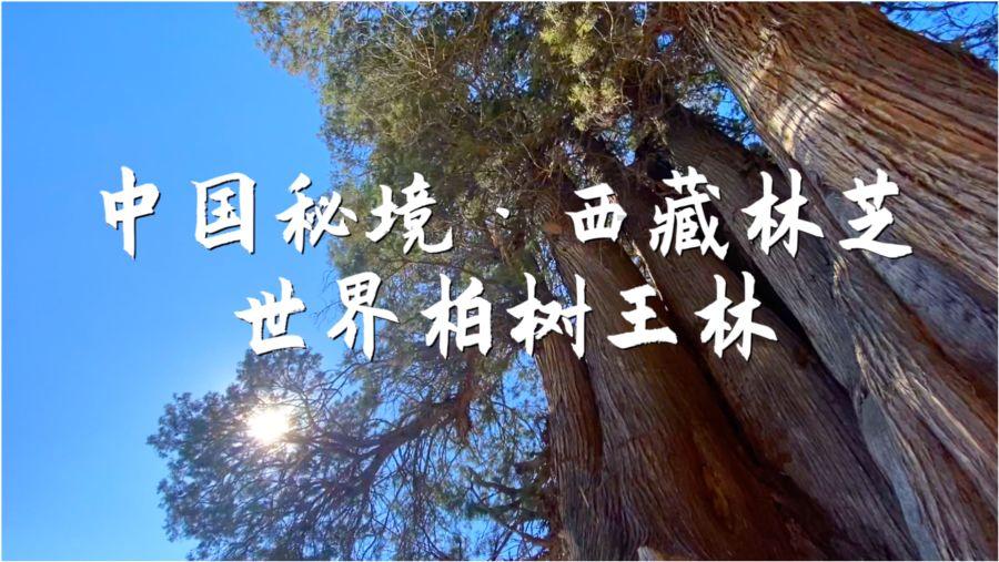 中国最能喝酒的5大省市，东北只能垫底，看到第一名甘拜下风