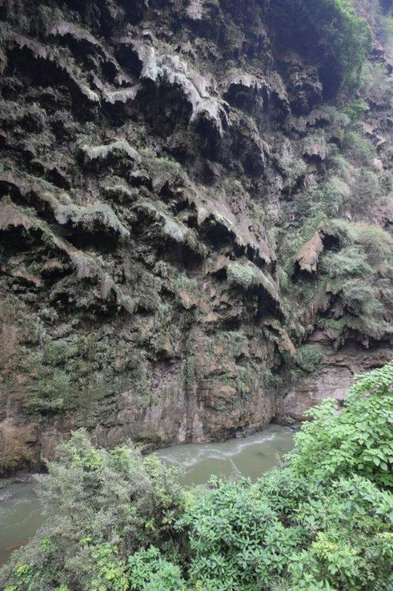 双向奔赴!“小东北虎”们去山西“撒欢”了